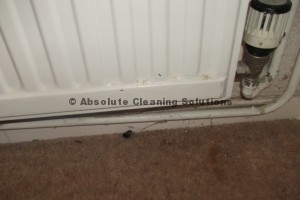 radiator before end of tenancy clean in st albans