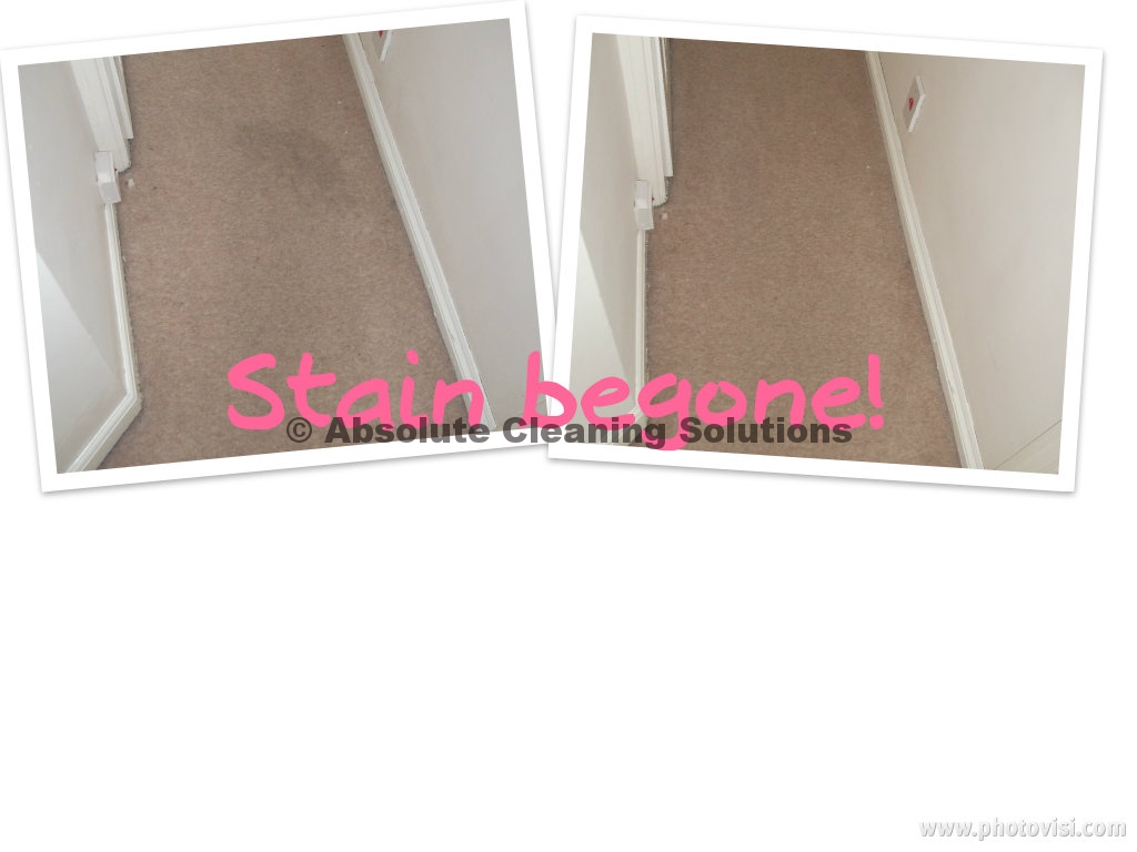 carpet stain removal harpenden