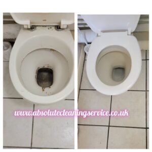 end of tenancy bathroom clean-toilet.jpg