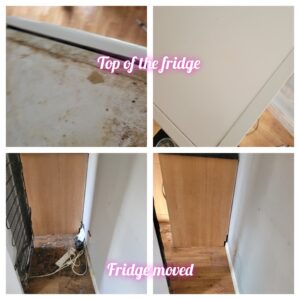 top and behind fridge cleaning